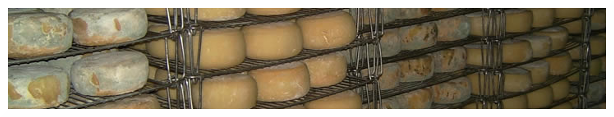 Bandejas de curado de quesos